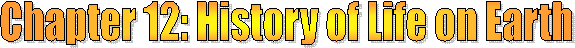 Class Resources