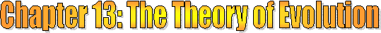 Class Resources