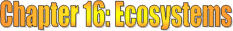 Chapter 16: Ecosystems
