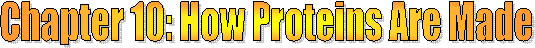 Class Resources