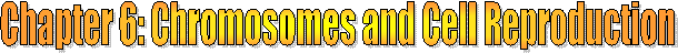 Class Resources