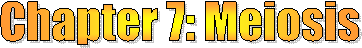 Class Resources