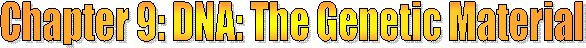 Class Resources