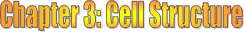 Chapter 3: Cell Structure