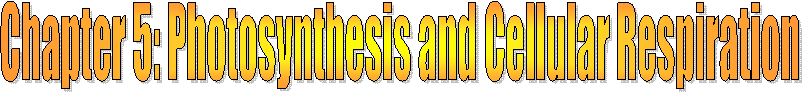 Class Resources